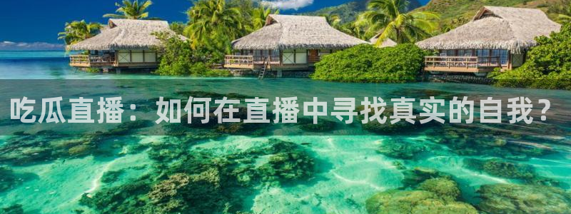 吃瓜小说