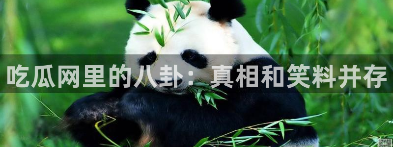 51吃瓜今日吃瓜入口最新
