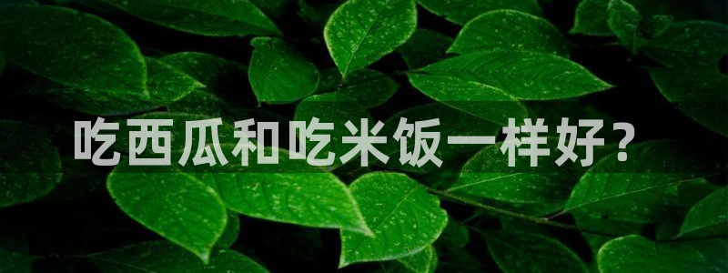 nanataipei51吃瓜