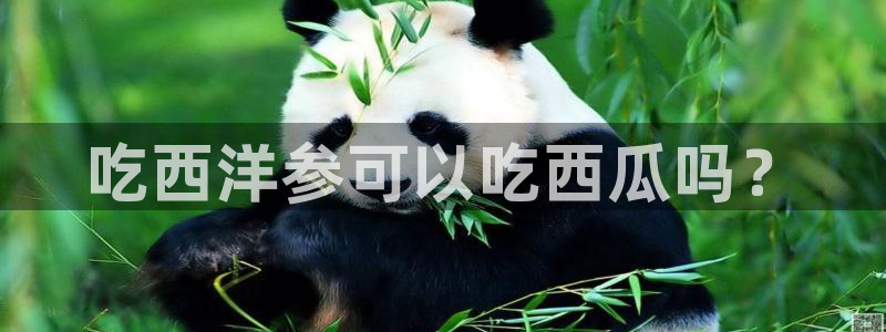 五一吃瓜今日必吃