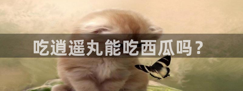 51吃瓜 张津瑜：吃逍遥丸能吃西瓜吗？