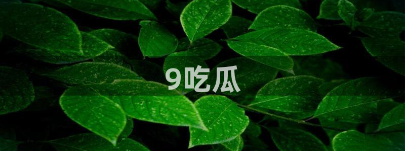 51吃瓜群众路线：9吃瓜