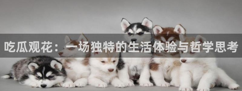 51吃瓜热心张津瑜：吃瓜观花：一场独特的生活体验与哲学思考