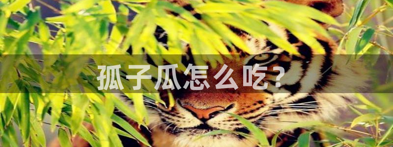 51今日吃瓜热门大瓜入口