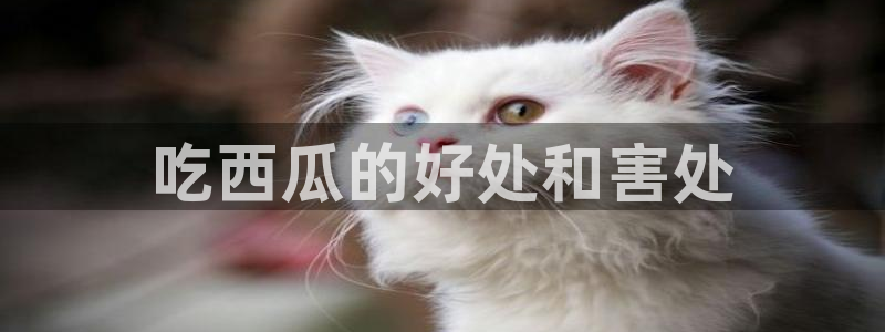 hongkongdoll 51吃瓜