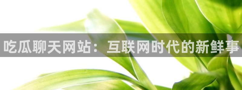 番茄和茄瓜能一起吃吗：吃瓜聊天网站：互联网时代的新鲜事