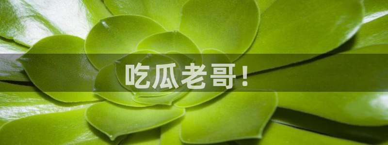 51吃瓜网热门黑料：吃瓜老哥！