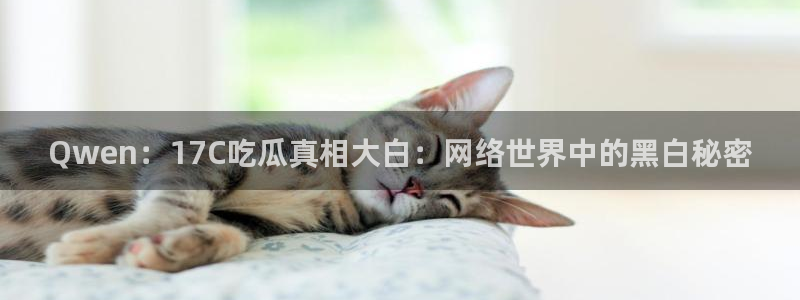 黑料免费：Qwen：17C吃瓜真相大白：网络世界中的黑白秘密