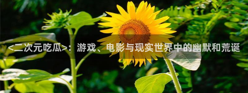51吃瓜网张津瑜：<二次元吃瓜>：游戏、电影与现实世界中的幽默和荒诞