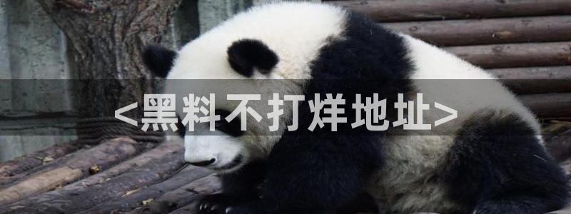 tongrentu8吃瓜吃瓜：<黑料不打烊地址>