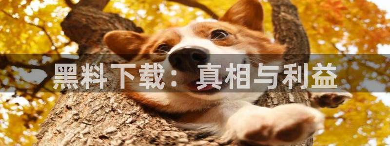 吃小瓜舌头尖疼是为什么：黑料下载：真相与利益