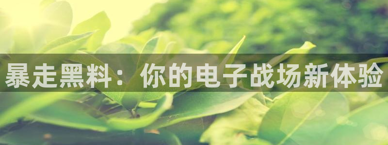 51吃瓜张津瑜：暴走黑料：你的电子战场新体验